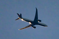 N419DX